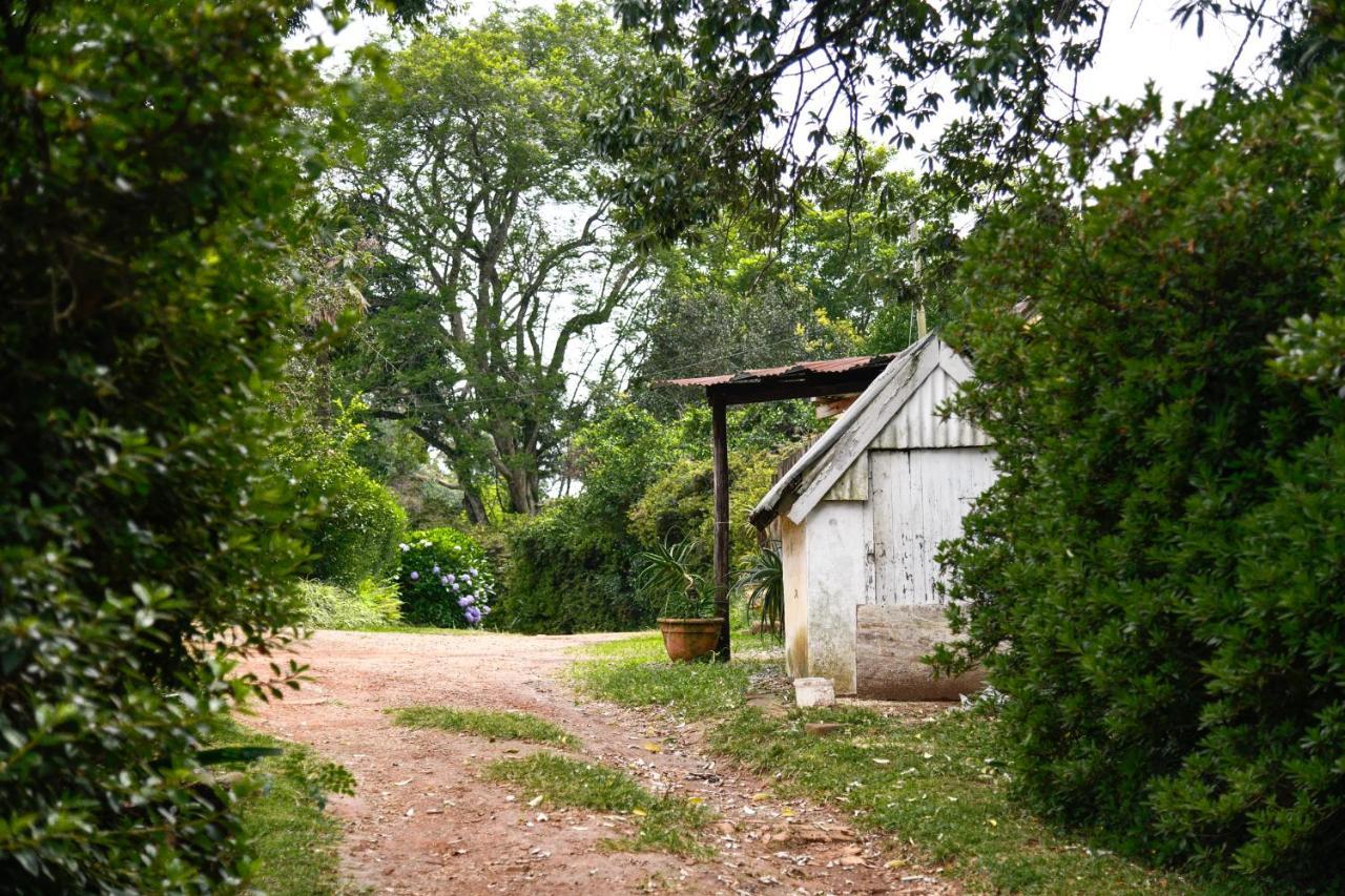 希尔顿The Knoll Historic Guest Farm别墅 外观 照片